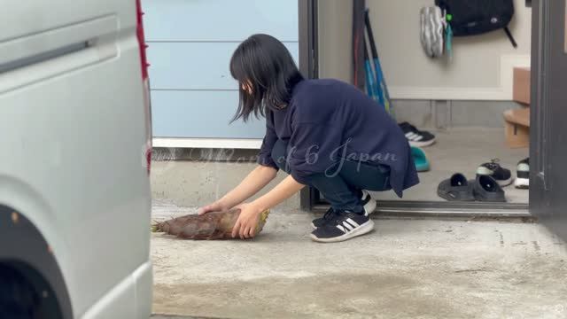 Mom of 6 Japan Выходные, спортивные игры и барбекю с детьми