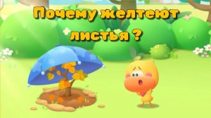 Игра «BabyBus. Почему желтеют листья. Осень». Детская познавательная игра. (бейбибас, панда Кики).