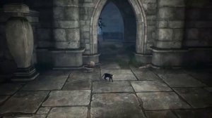 LIGHT Black Cat & Amnesia Girl  Full Game Walkthrough  No Commentary_720p