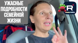Ужасные подробности семейной жизни /Big Big Family in the USA /Обзор