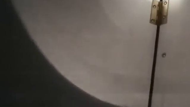 Vita carnis на русский