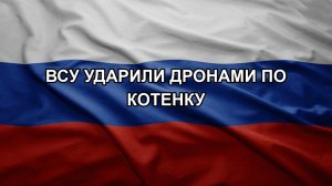ВСУ ударили дронами по котенку
