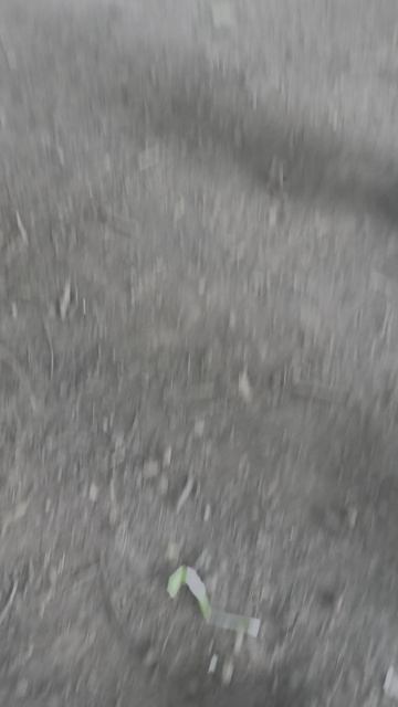 06-07-2026