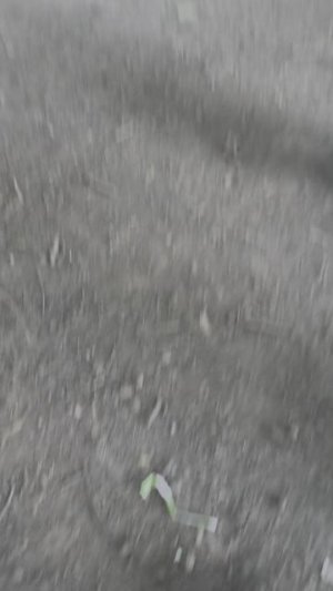 06-07-2026