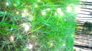 2026_07_04_23_52_18_IMG_2640