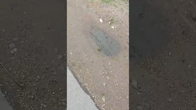 от стадиона до кпд и обратно. смотреть онлайн