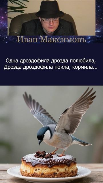 Дрозд и дроздофила