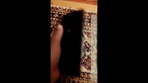 Телефон fly