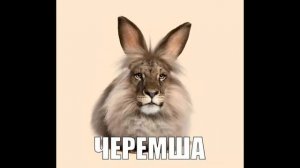 смотри с Полной громкостью