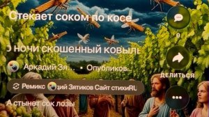 «По ночи скошенный ковыль» а всё же под лозой зачаты