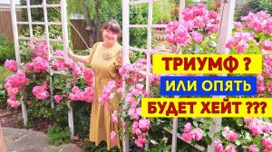 ВХОДНАЯ ЗОНА, за которую меня захейтили 4 года назад. А теперь здесь настоящий РАЙ!