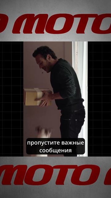 Cardo пошутила про гарнитуру для собак