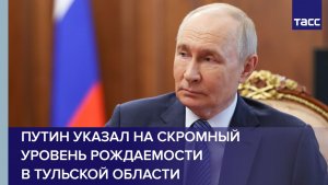 Путин указал на скромный уровень рождаемости в Тульской области