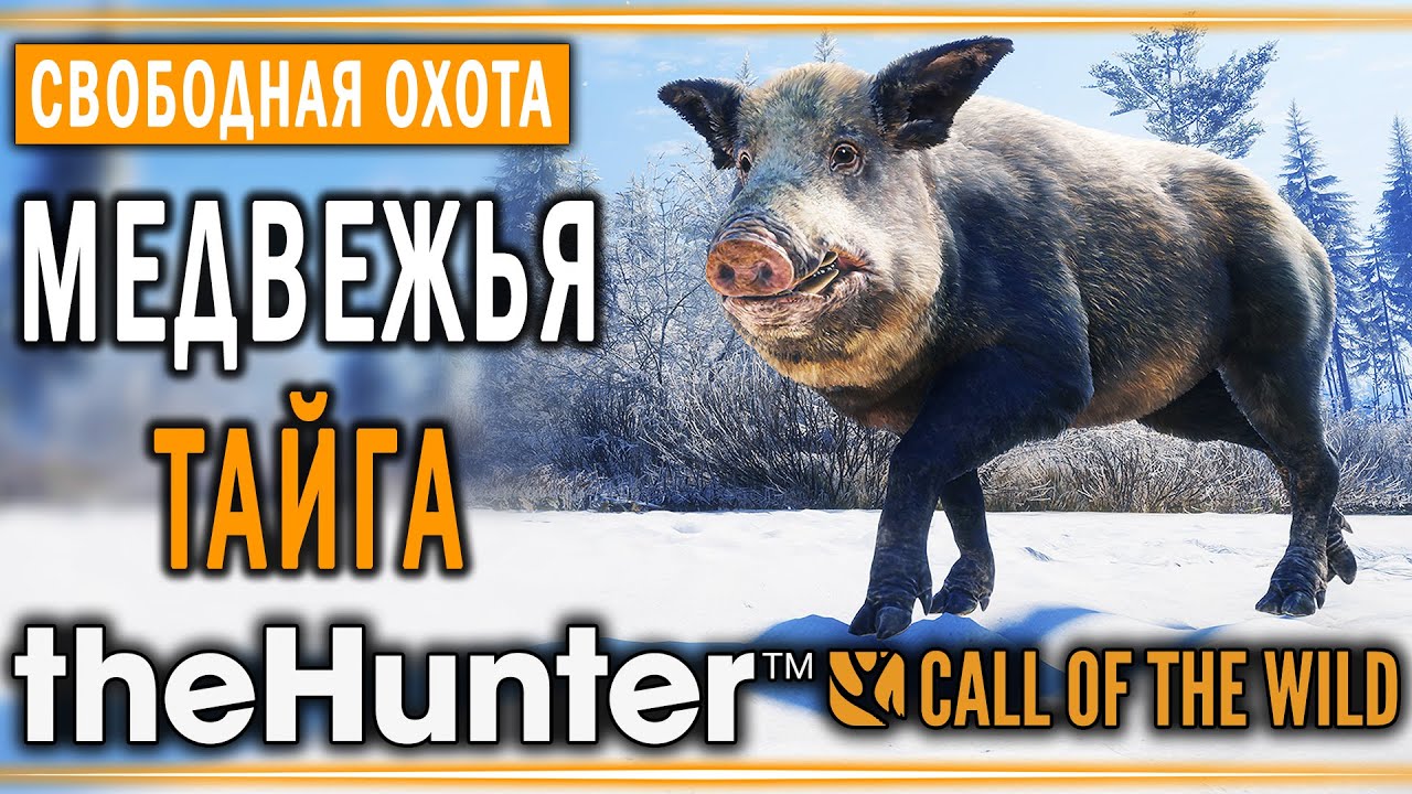 theHunter Call of the Wild #13 🐻 - Медвежья Тайга (часть 2) - Свободная Охота смотреть онлайн