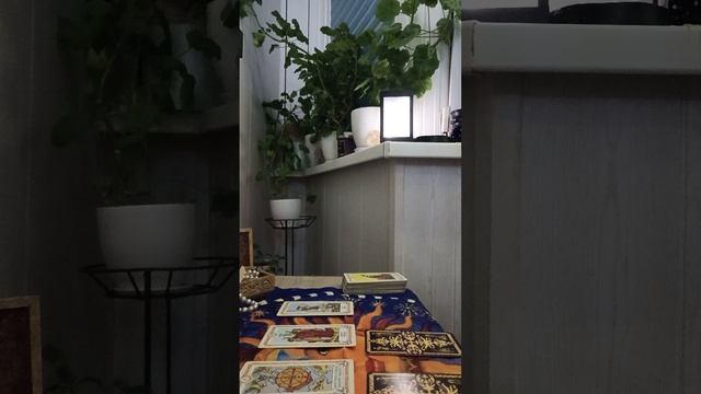 Как пройдет эта неделя смотреть онлайн