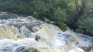Бешеные каникулы 🧶 Немного игрушек, прогулки, водопад, идея про чат)