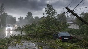 Ураган разгромил Нижегородскую область: сорваны крыши, повалены деревья и оборваны ЛЭП