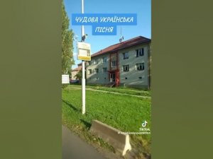 В таверні Українською