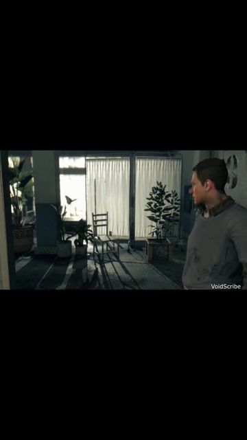Тридцать первый