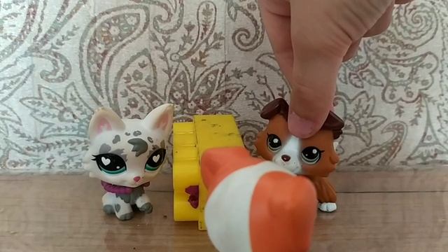 lps сериал девки парни рок-н-ролл ( 1 сезон 14 серия) смотреть онлайн