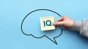 Прошёл IQ тест чтобы доказать Макарчику 24к что у меня не один айкью