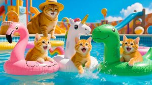 Мама-кошка подстригает шерсть на ферме и делает тигровую шапку для котят дома🐾🎩🐯