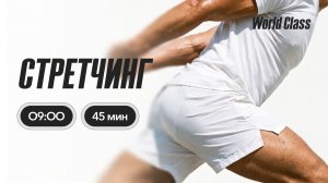 СТРЕТЧИНГ с Анастасией Филипьевой | 6 июля 2026 | Онлайн-тренировки World Class