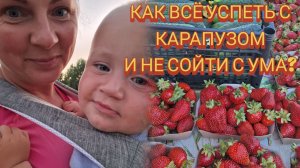 Я в шоке! Спустя время, монтирую видео и вспоминаю всё это с улыбкой..