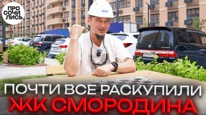 Почему ЖК Смородина раскупают быстрее других?! ➤Показываем всё как есть ➤цены сегодня 🔵Просочились
