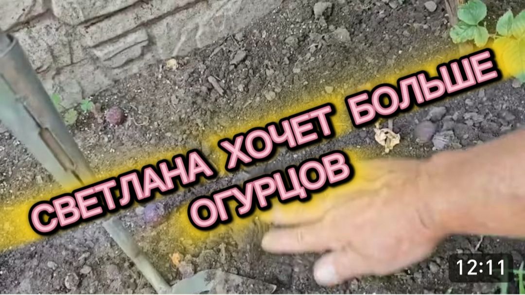 САМВЕЛ АДАМЯН, СЫТНИКИ, СВЕТА ХОЧЕТ БОЛЬШЕ ОГУРЦОВ.. смотреть онлайн