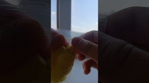 1000031772.mp4