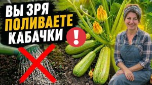 Не делайте так с кабачками! Из-за этих ошибок куст огромный, а плодов нет