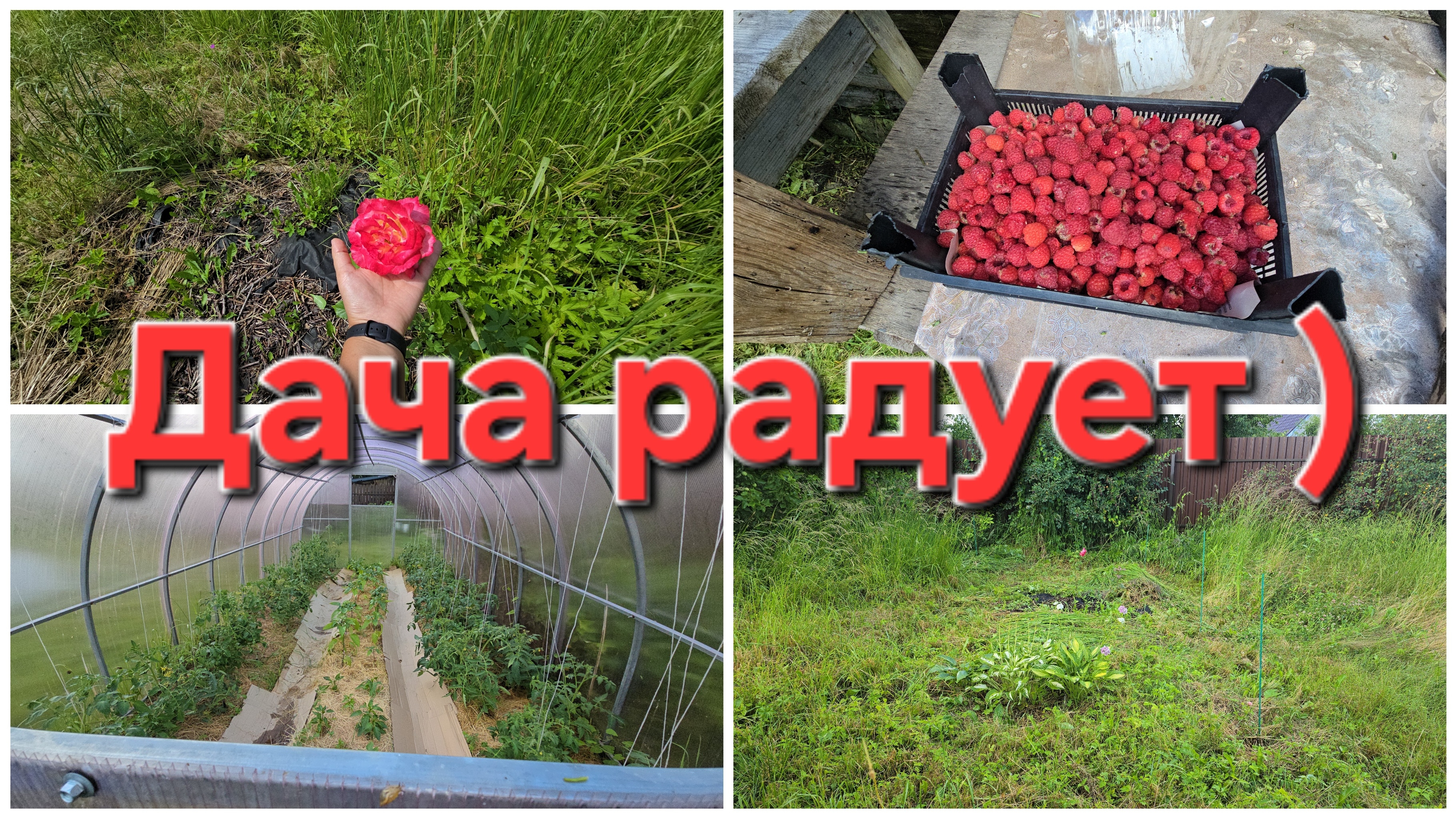 05-07-2026 С утра гром и молния, но мы многое успели сделать! смотреть онлайн