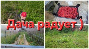 05-07-2026 С утра гром и молния, но мы многое успели сделать!