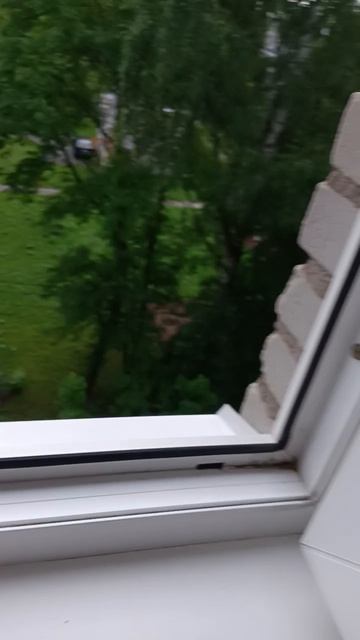 привет. и я ненавижу газированную воду 😍