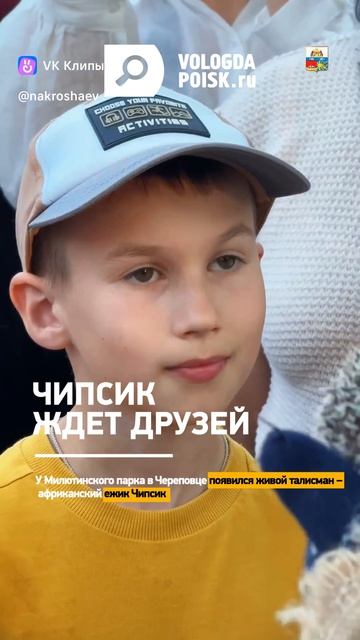 Чипсик ждет друзей