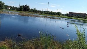 06-07-2026 18+ распаковка чек пруд погода хорошая ветерок
