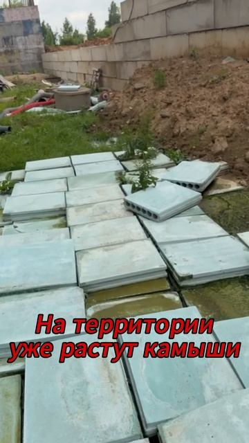 rutube.ru