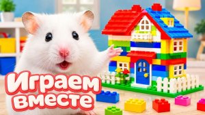 ХОМЯК ВЫБИРАЕТСЯ ИЗ СЕКРЕТНОЙ ХОМЯЧЕЙ ТЮРЬМЫ ! Забавные животные ! Супер лабиринт для хомяка №45