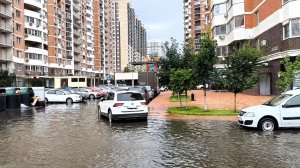 Влог. После дождя... Покупки для дома