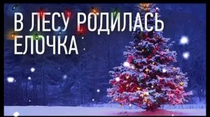 В лесу родилась ёлочка (смешная новогодняя песня)