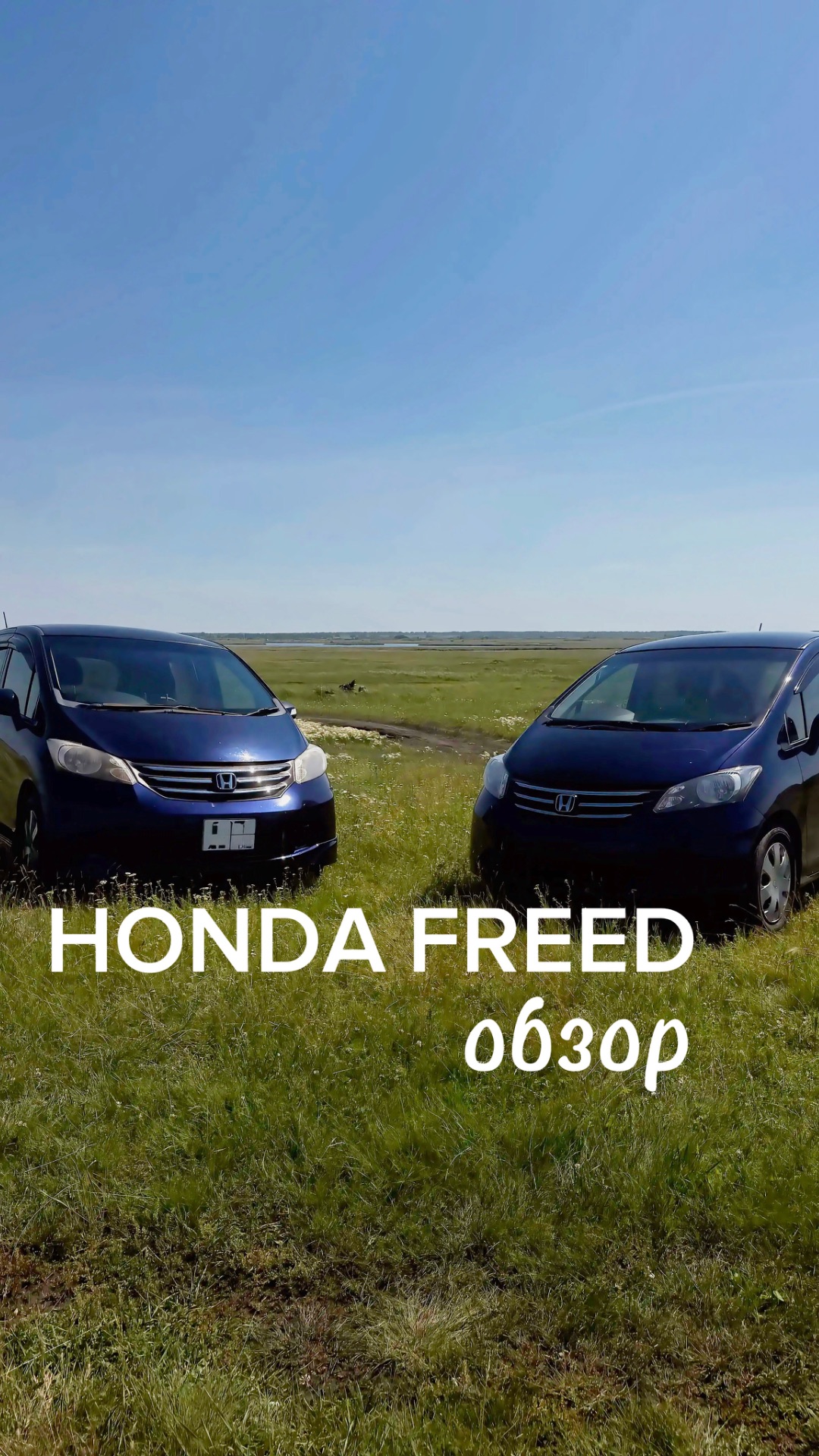 Обзор Honda Freed