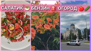 ВЛОГ | Вкусно и просто🥗 Ситуация с бензином ⛽ Огородик 🍅🥒 #влог #жизнь #донецк #макеевка #влоги