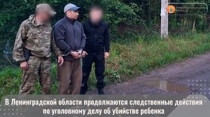 В Ленинградской области продолжаются следственные действия по уголовному делу об убийстве ребенка