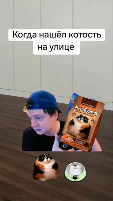 Котость