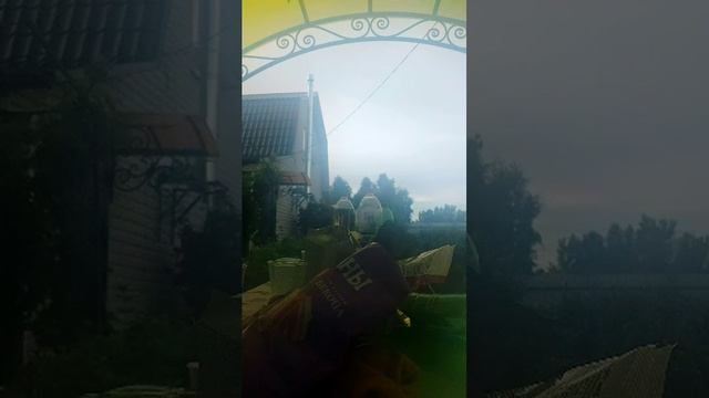 сбор поздравлений у меня сегодня др
