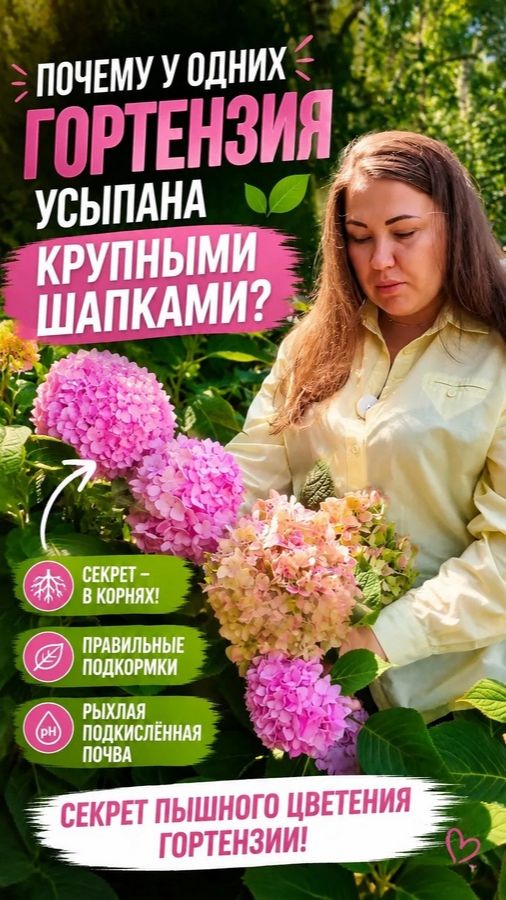 Красивый сад и аптека