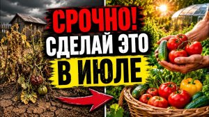 Срочно сделайте ЭТО в июле! 20 правил идеального урожая томатов и огурцов