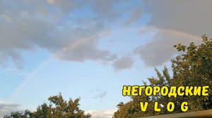 Откачиваем воду из погреба. Ремонт клеток. Шашлыки под дождем. 28.06.26