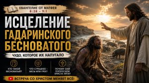 Исцеление Гадаринского бесноватого. Проповедь иерея Владимира Плотникова. 05.07.2026 г.